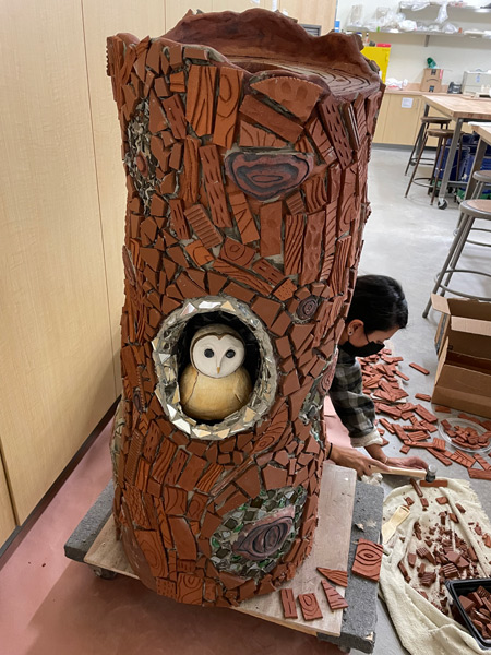 10_baby-owl-inside-a-more-completed-tree