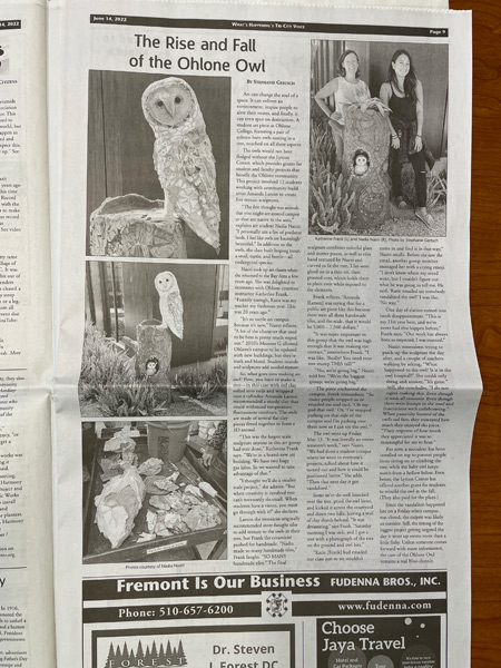 18_newspaper-covering-the-story-of-the-owl